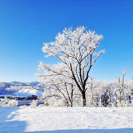 Sokcho Ulsanbawi Bed And Breakfast ภายนอก รูปภาพ