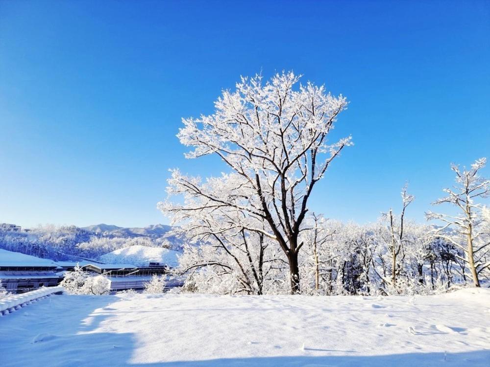 Sokcho Ulsanbawi Bed And Breakfast ภายนอก รูปภาพ